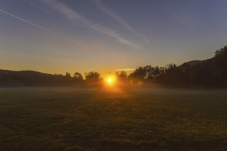 Trees in the sunrise, fog, Lower Austria, Austria, Europe