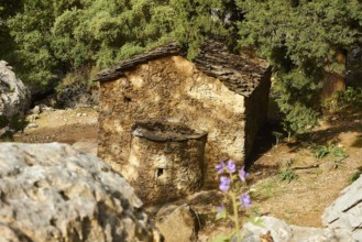 Rest area, Chapel Agios Nikolaos, Natural stone building, Trees, Samaria Gorge, Samaria, Gorge,