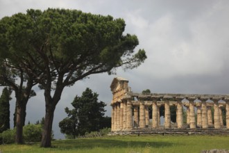 The Athenaion, Temple of Ceres or Temple of Athena in Paestum, Campania, Italy, Europe