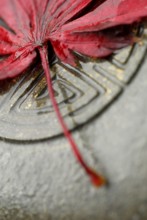 Japanese (Detail) Maple leaf and Japanese emblem in stone, esotericism, symbol Japanese maple,