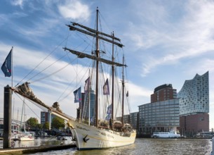 Windjammer Mare Frisium at the Hamburg Landungsbrücken, Hamburg, Land Hamburg, Germany, Europe