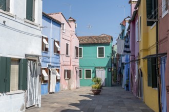 Colourful houses, colourful facades, alleyways on the island of Burano, Venice, Veneto, Italy,