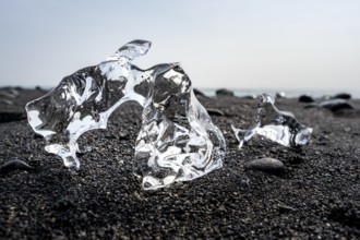 Ice, pieces of ice on black sand beach, on black lava beach Diamond Beach, Southeast Iceland,