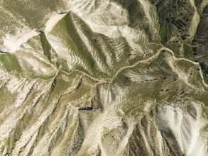 Dirt road in the Gorafe Desert with green surroundings after some rainfalls, aerial view, drone