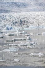 Glacier lagoon, ice lagoon Fjallsárlón, ice floes in front of glacier Fjallsjökull, Vatnajökull,