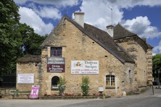 Château de Savigny, Winery, Savigny-lès-Beaune, Département Côte-d'Or, Burgundy, France, Europe