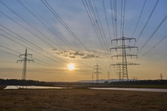 Symbolic image, energy crisis, power lines, at sunrise, Hesse, Germany, Europe