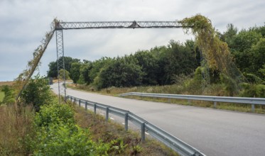 Bridge for an endangered species of hazel dormice (Muscardinus avellanarius) over a country road in