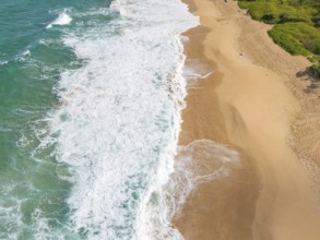 Aerial view of Paliku aka Donkey Beach, Kauai, Hawaii, USA, North America