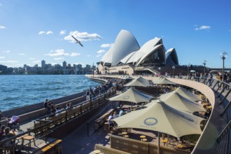 Sydney opera, Sydney, New South Wales, Australia, Oceania