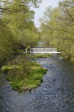 Waterfall on the River Oker in the Oker Valley, Vienenburg, Goslar, Harz, Lower Saxony, Germany,