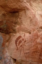 Rock drawing of an ostrich in the De Riet cave, near De Riet, Kunene region, Namibia, Africa