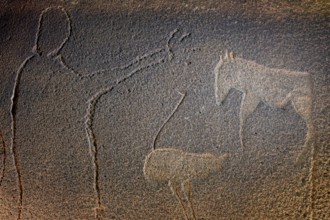 Rock engraving of a man with raised arm, ostrich and zebra, at night, illuminated, God's plate,