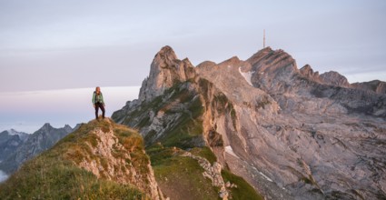 Hiker at the summit, mountains at sunrise, Säntis, Appenzell Ausserrhoden, Appenzell Alps,