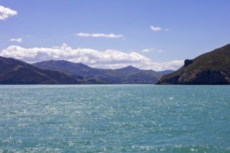 Bootsfahrt, Akaroa, Banks Peninsula, Canterbury, Neuseeland