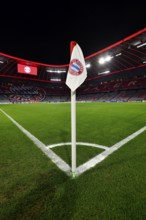 CL, Champions League evening, Allianz Arena, interior, corner flag, logo, scoreboard, pitch,