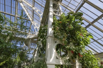 Pillars, Temperate House, largest Victorian greenhouse in the world, Royal Botanic Gardens (Kew