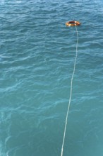 Lifebuoy, lifebuoy in the sea, Pacific, ocean, rescue, drowning, danger, risk