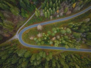 S-curve through the autumn forest, Black Forest, Germany, Europe