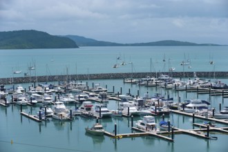 Harbour with sailing ships, sailing, travel, holiday, bay, Arlie Beach, Queensland, Australia,