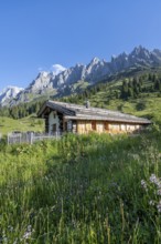 Wooden house, alpine pastures at Arthurhaus, Berchtesgaden Alps with Hochkönig, Salzburger Land,