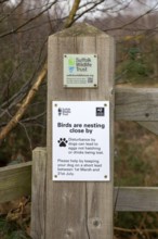 Suffolk Wildlife Trust sign about protecting nesting birds from dogs, Rendlesham Forest, Suffolk,