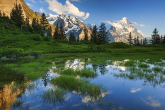 Eiger, Mönch, Bernese Oberland, Switzerland, Europe