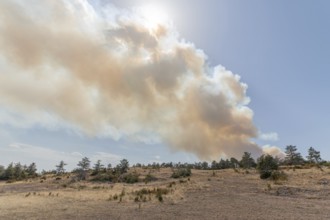 Forest fire wreaks havoc on causse de sauveterre. Montuejols, Aveyron, Cevennes, France, Europe