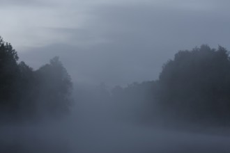 Foggy mood in the morning on the Upper Havel, Müritz National Park, Mecklenburg-Western Pomerania,