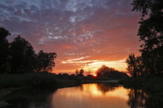 Evening mood with sunset on the river Trebel, Flusslandschaft Peenetal nature park Park,