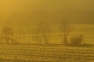 Fields around Possendorf in the Eastern Ore Mountains