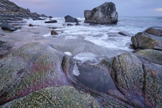 Rocks on beach of fjord of Norwegian sea in winteron sunset. Utakliev beach, Lofoten islands,