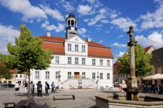 Bad Düben, town hall at the market