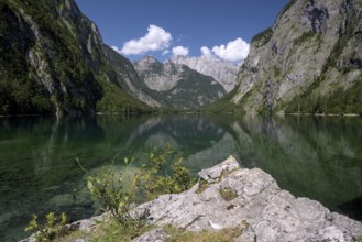 Obersee, above the Königssee, lake and surrounding mountains, Schönau, Königssee, Berchtesgaden