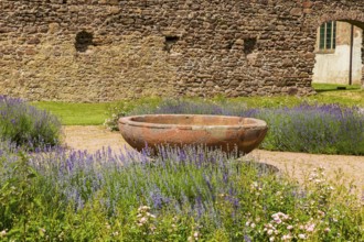 DEU Saxony Klosterbuch Area of the former cloister with Romanesque fountain bowl in the Kreugarten