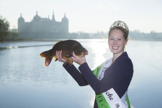 Fishing of the castle pond in Moritzburg