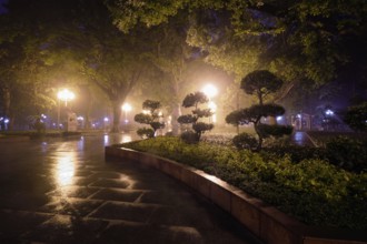 Guangzhou People's Park with mist fog at night. Guangzhou, China, Asia