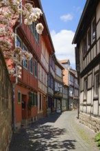 Rosenwinkel, half-timbered alley in the old town, lower town, Halberstadt, Harz Mountains,