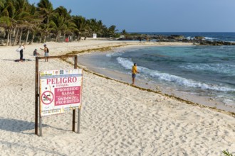 Peligro Danger sign swimming prohibited, Playa Secreto beach, Isla Mujeres, Caribbean Coast,