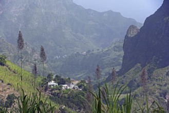 View over the Ribeira Grande Valley on the island Santo Antão, Cape Verde, Cabo Verde, Western