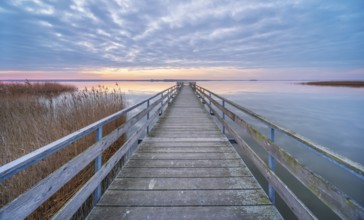 Bathing area with jetty at Bodstedter Bodden at sunrise, Western Pomerania Lagoon National Park,