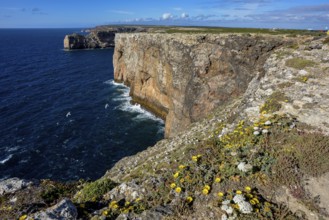 Landscape at Cabo de São Vicente, most southwestern point of Europe, near Sagres, Algarve,