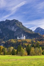 Neuschwanstein Castle in autumn, Schwangau, Ostallgäu, Allgäu, Swabia, Upper Bavaria, Bavaria,