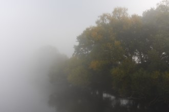 Fog over the Mulde River, Middle Elbe Biosphere Reserve, Saxony-Anhalt, Germany, Europe