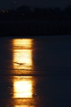 Full moon reflected in the ice, Middle Elbe Biosphere Reserve, Saxony-Anhalt, Germany, Europe