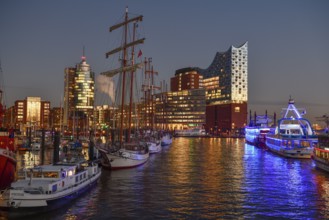 View over Hamburg harbour to the Elbe Philharmonic Hall, blue hour, Hafencity, Hamburg, Germany,