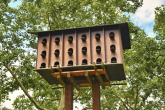 Large pigeon bird house constructed to exchange eggs for fake eggs to reduce feral pigeon