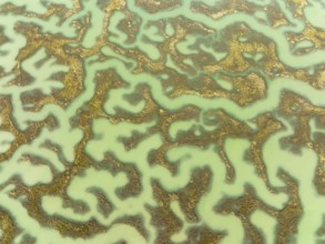 Network of channels and streams at low tide, in the marshland of the Bahía de Cádiz, aerial view,