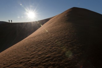 Morocco, Erg Chebbi desert, dunes, Africa