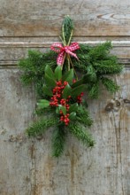 Holly (Ilex aquifolium) , twig, leaves and berries, old wooden door, piercing tube, Christmas